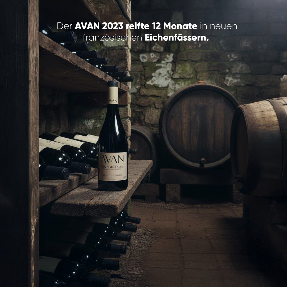 AVAN 2023 – Ausdrucksstarker Rotwein aus der D.O. Ribera del Duero