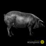Jamones Blázquez Chorizo Sarta Ibérico Dulce ca. 320-360g – Spanische Chorizo aus Salamanca
