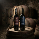 Dinastía - Rotwein - Malbec-Cabernet-Shiraz 2019 - Argentinien, 750ml