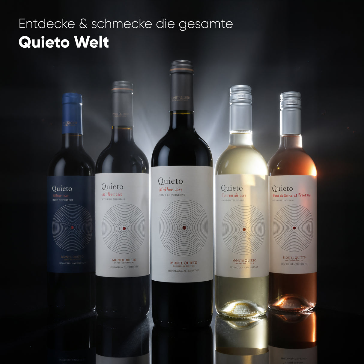 Monte Quieto Enlace 2019 - Argentinischer Rotwein - Limitierte Auflage - 750ml
