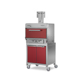 Holzkohleofen Classic - Pujadas